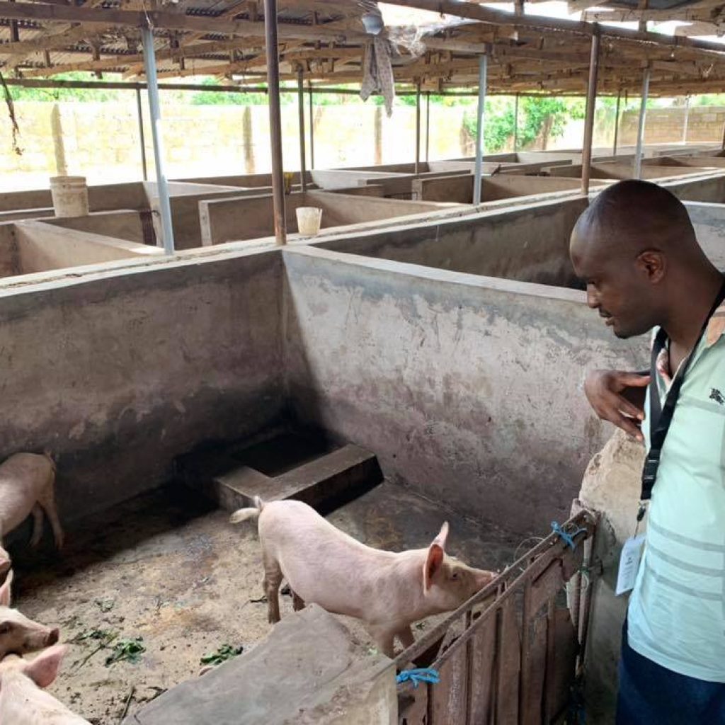 Agric Intervention 2