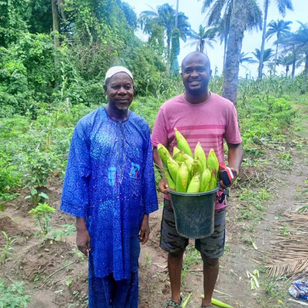 Agric Intervention 9